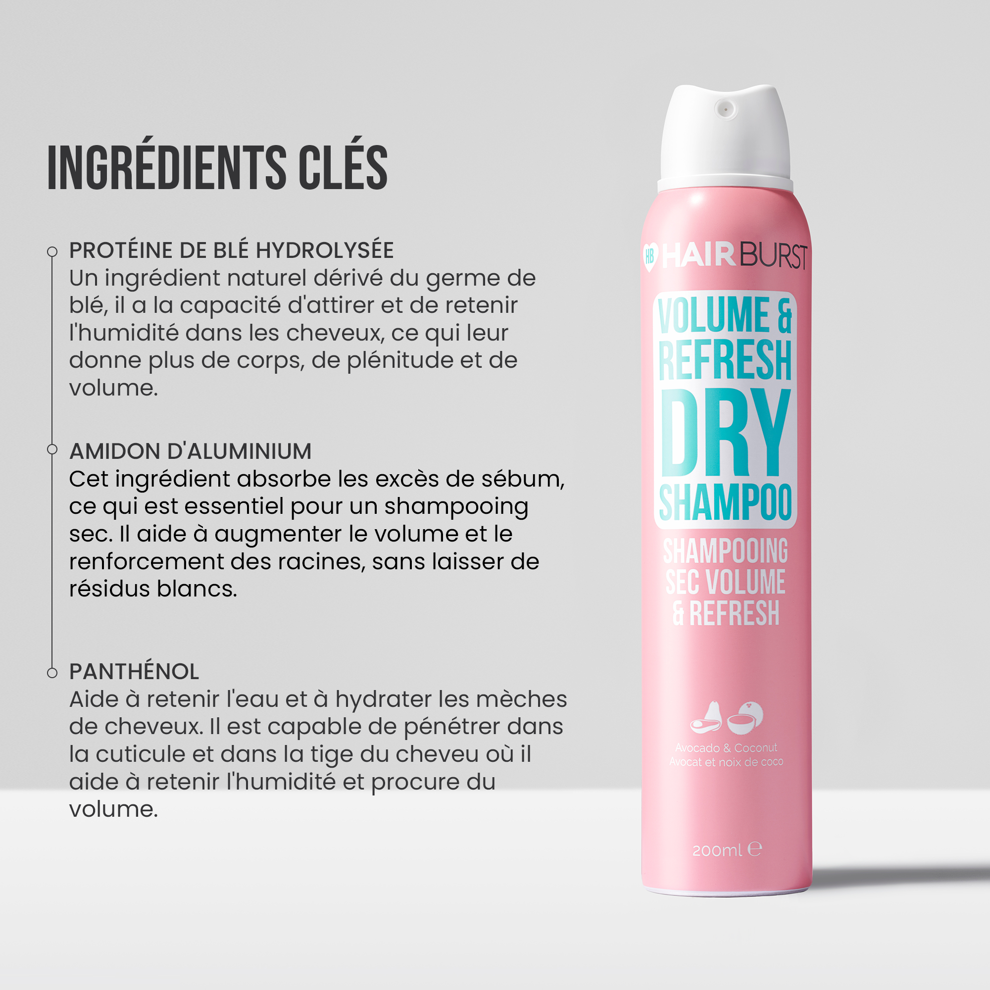 Shampooing sec Volume & Refresh