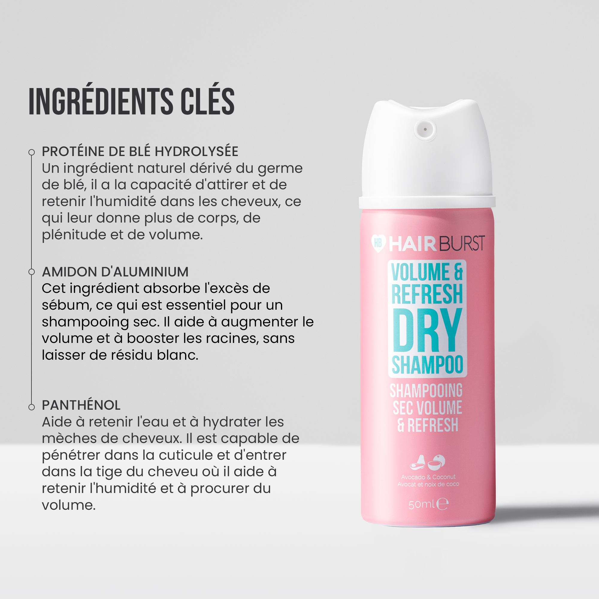 Mini Shampooing sec Volume & Refresh