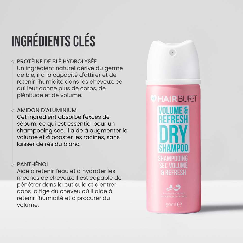 Mini Shampooing sec Volume & Refresh