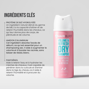 Mini Shampooing sec Volume & Refresh